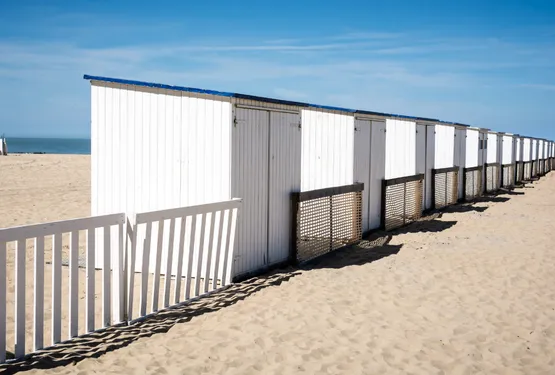 transfert vers les ports et plages de belgique
